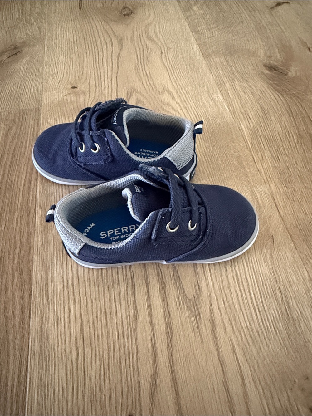 Sperry Kids Navy Canvas Lace-Up Sneakers with Gray Trim